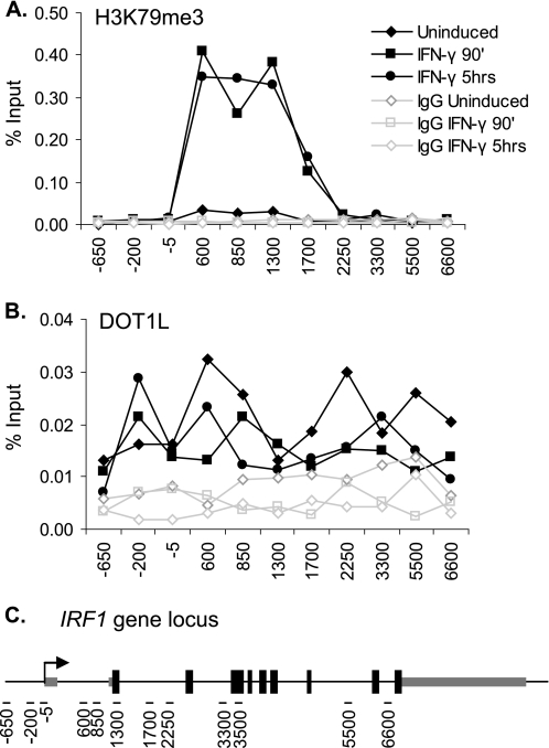 FIGURE 1.