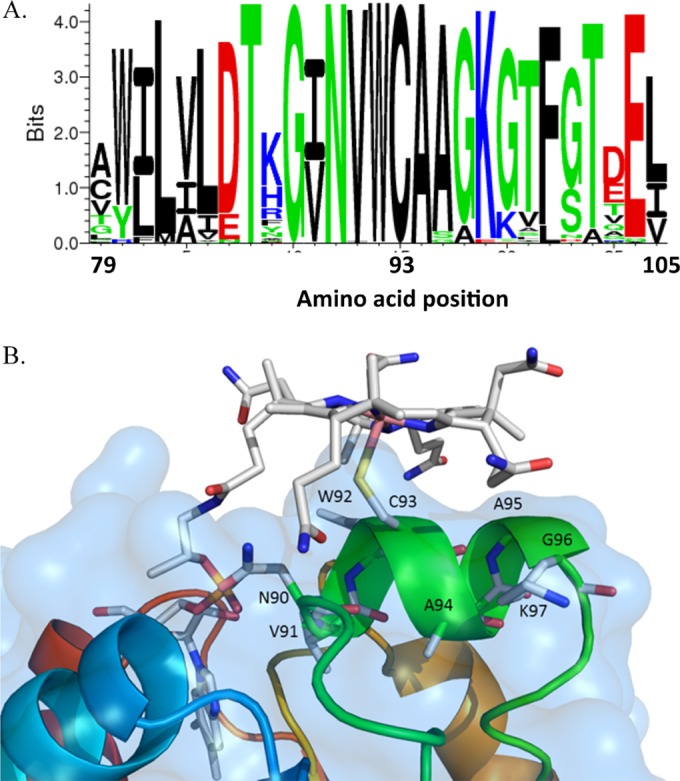 FIG 1