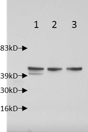FIG 5