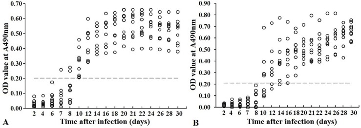 Fig 12