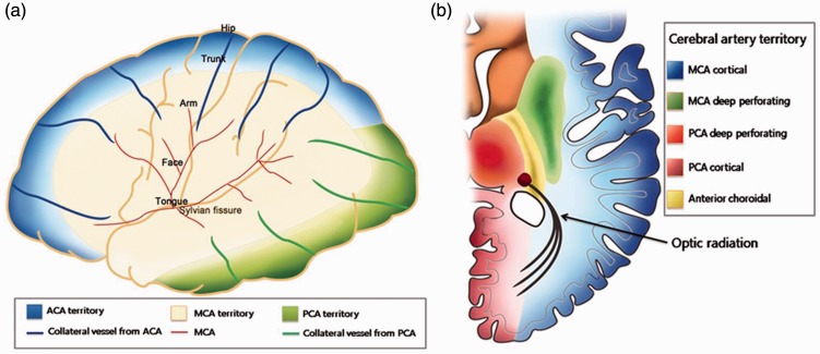 Figure 2.