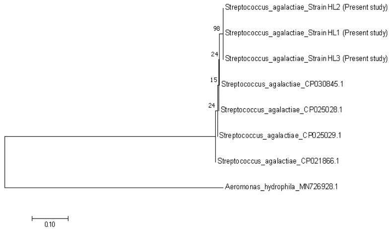 Figure 7