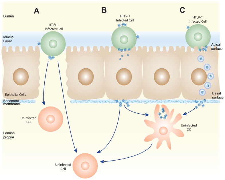 FIGURE 2