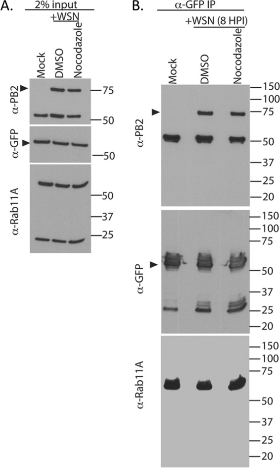 FIG 9