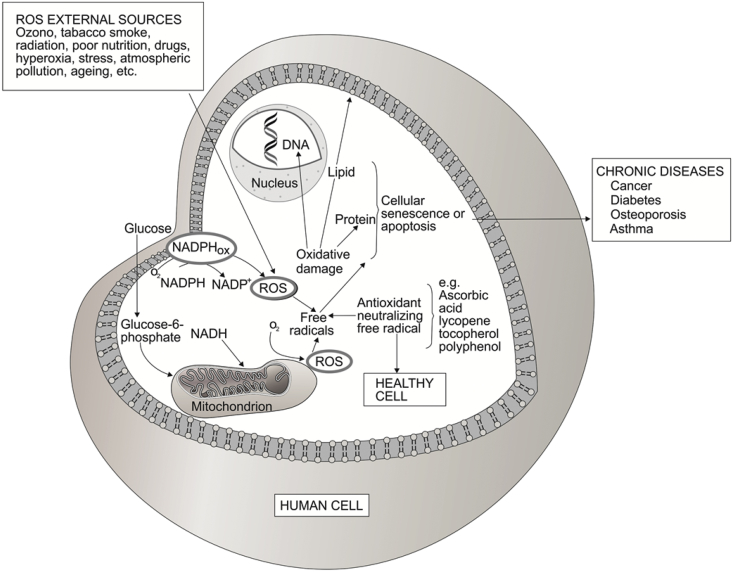 Fig. 2