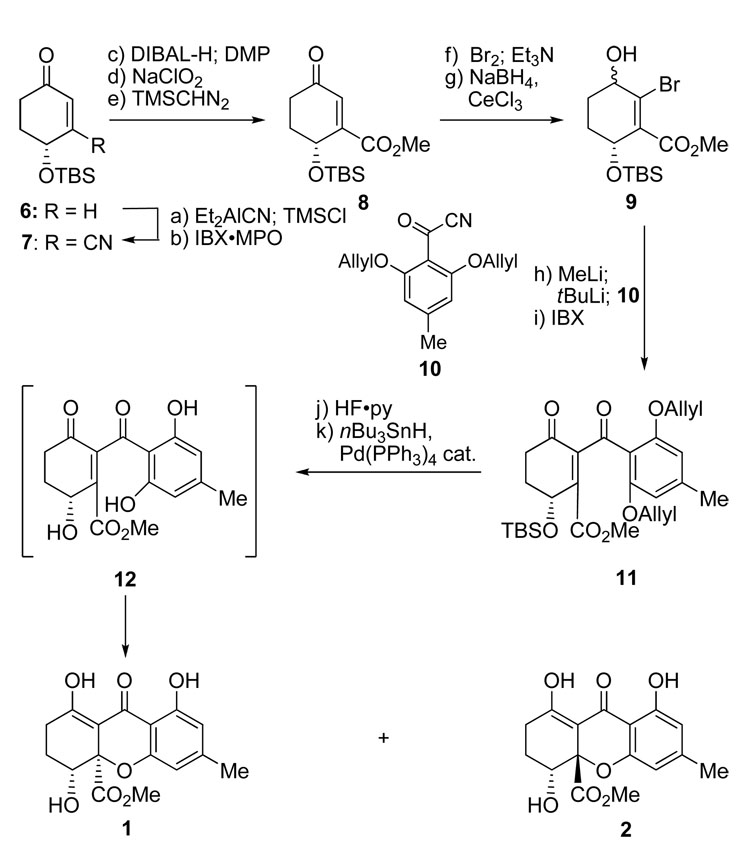 Scheme 1