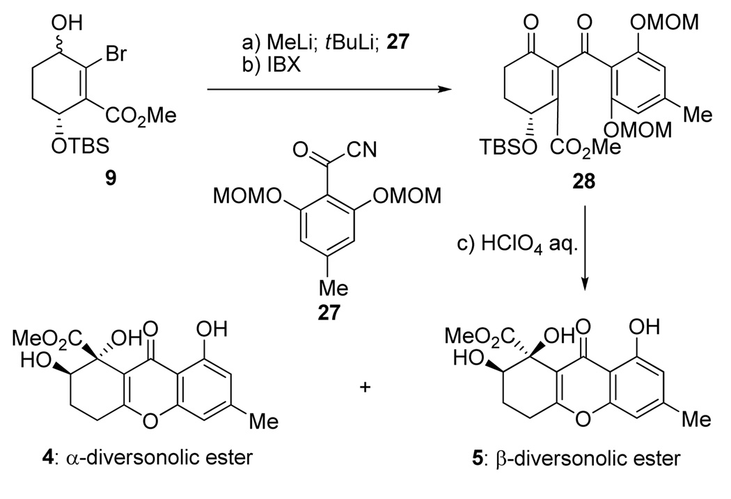 Scheme 5