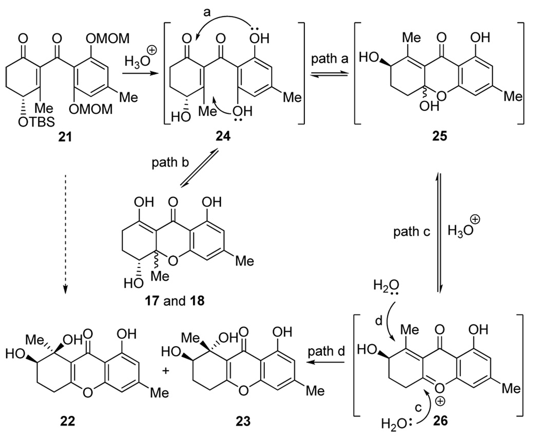 Scheme 4