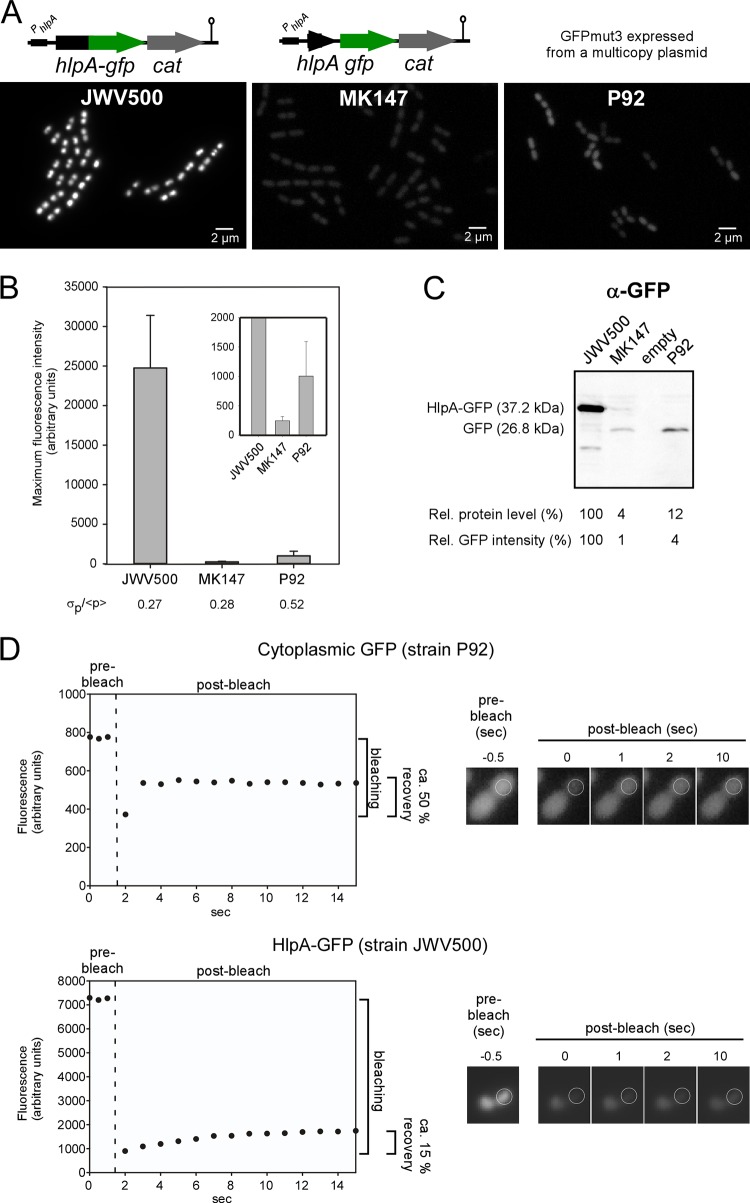 FIG 2