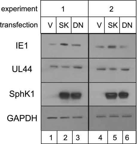 FIGURE 10.