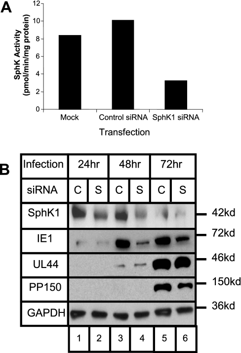 FIGURE 9.