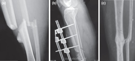 Fig. 8: