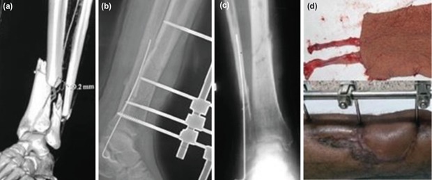 Fig. 5: