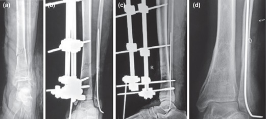 Fig. 7: