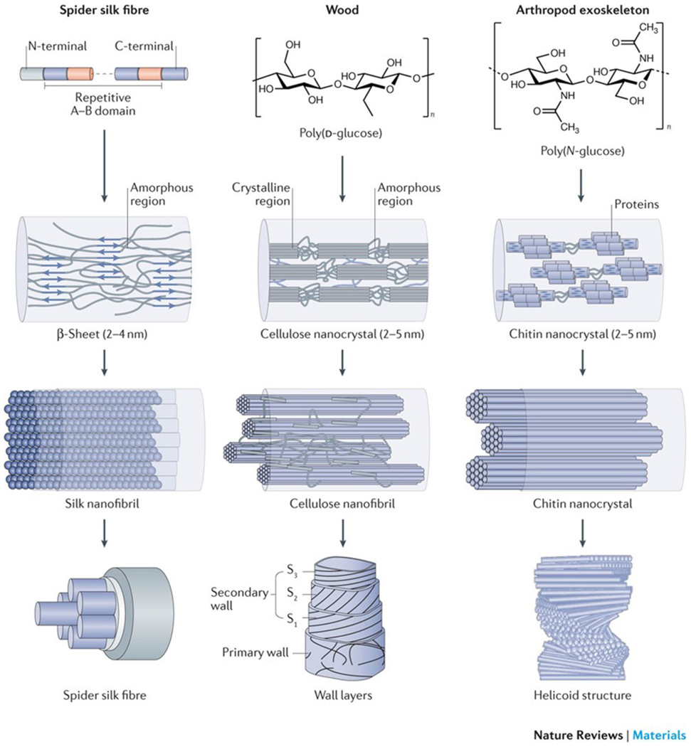 Figure 1|