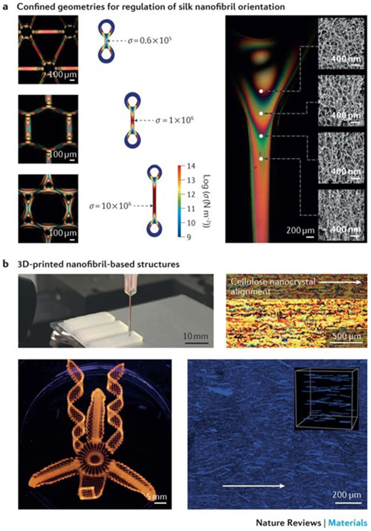 Figure 4|