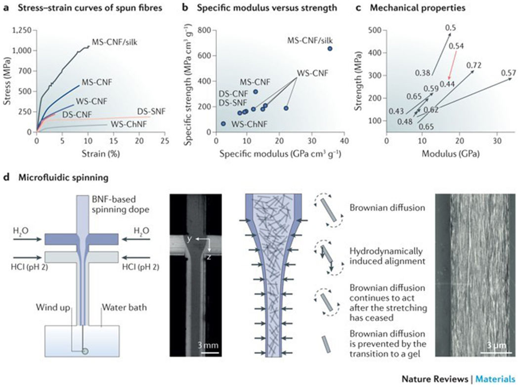 Figure 3|