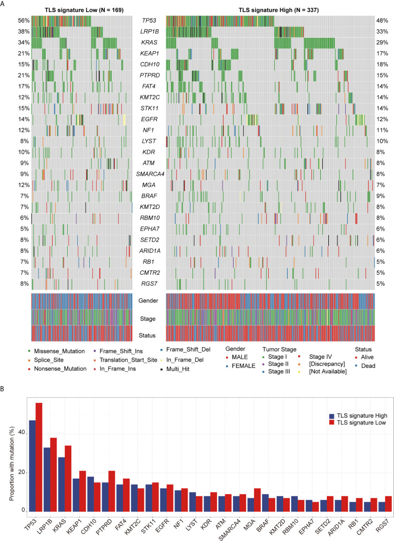 Figure 4