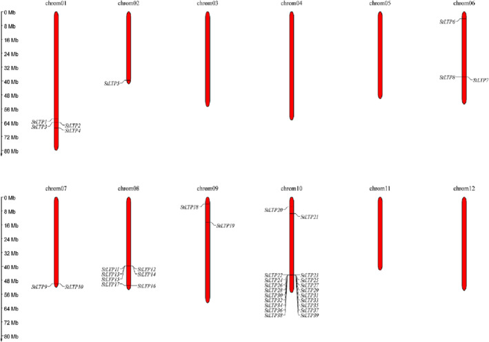 FIGURE 7