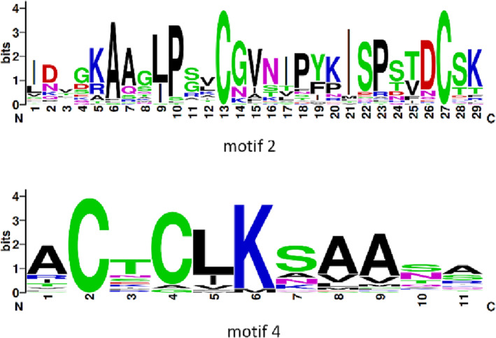 FIGURE 4