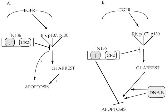 FIG. 7