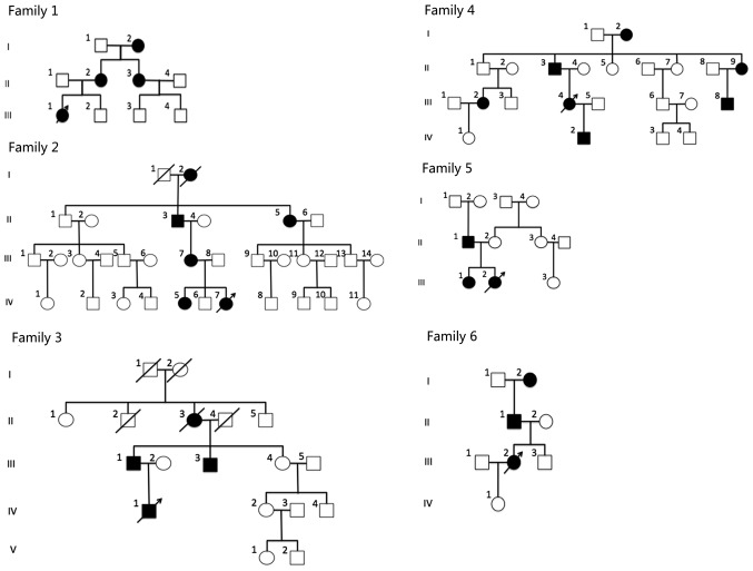 Novel mutations associated with autosomal-dominant congenital cataract ...