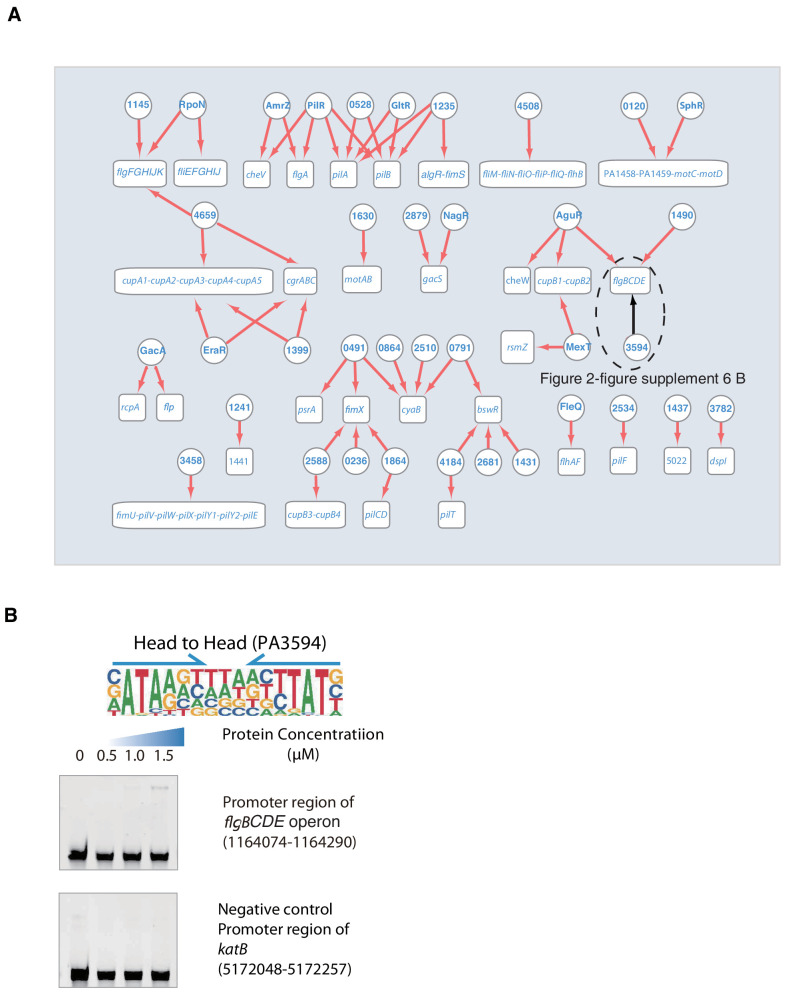 Figure 2—figure supplement 6.