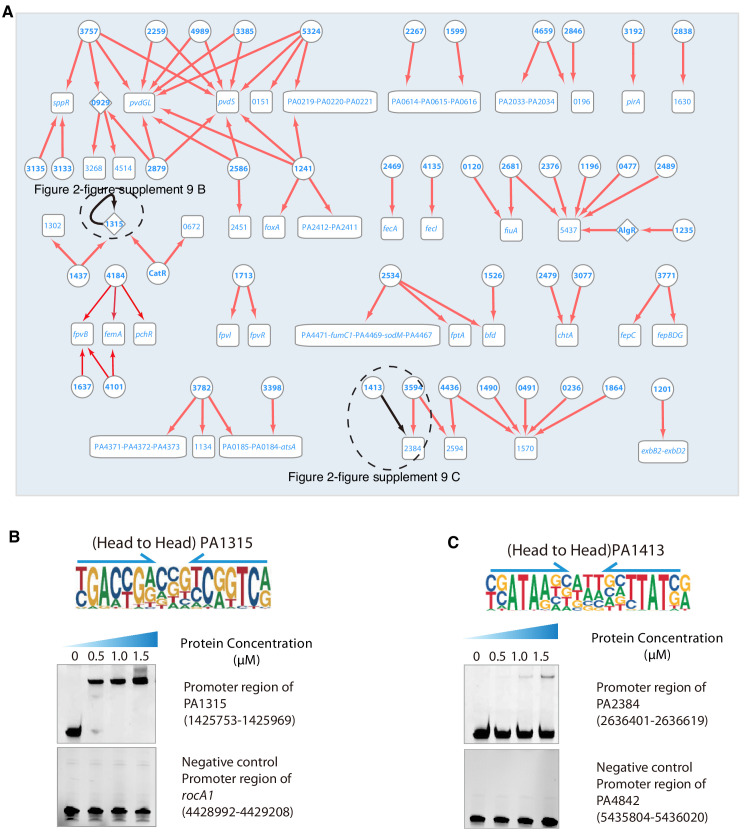 Figure 2—figure supplement 9.