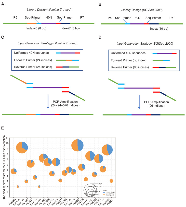 Figure 1—figure supplement 1.