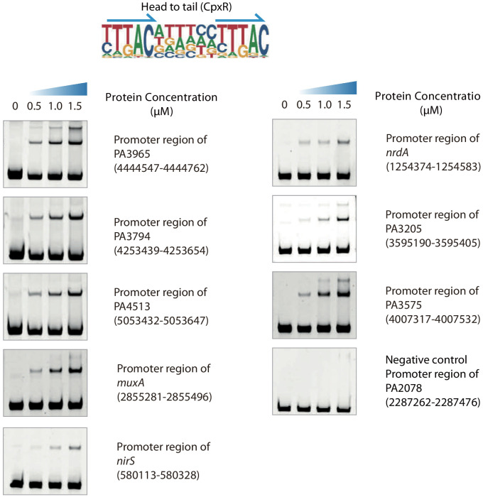 Figure 2—figure supplement 3.