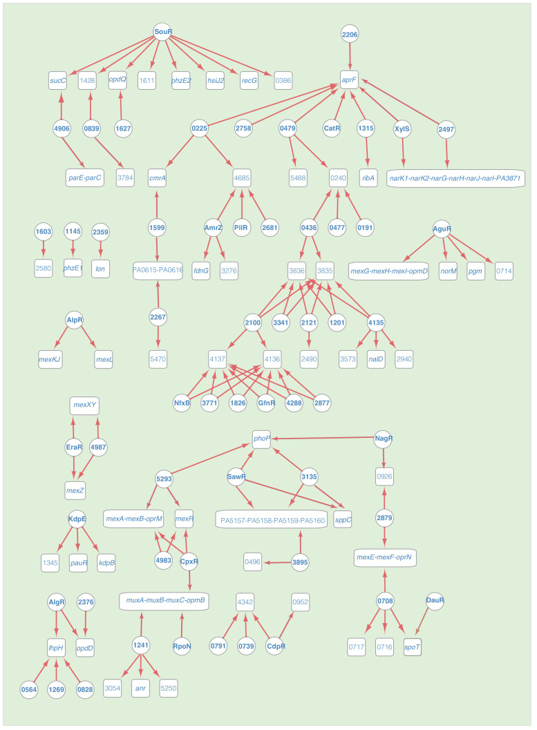 Figure 2—figure supplement 8.