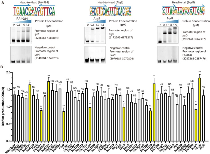 Figure 2—figure supplement 4.