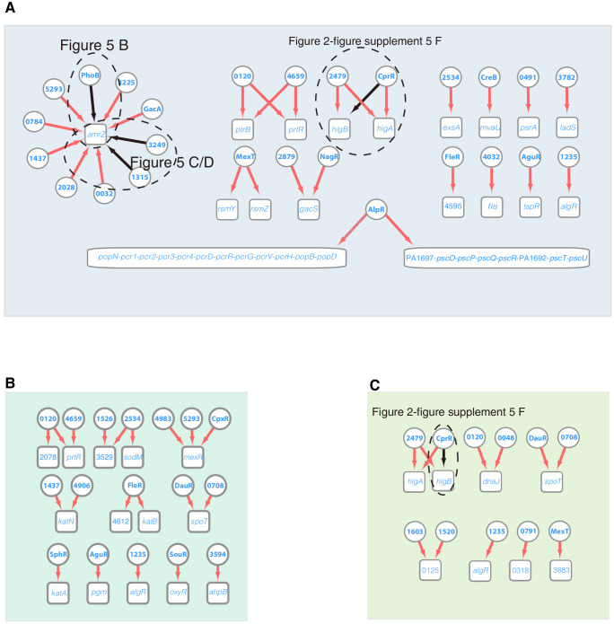 Figure 2—figure supplement 10.