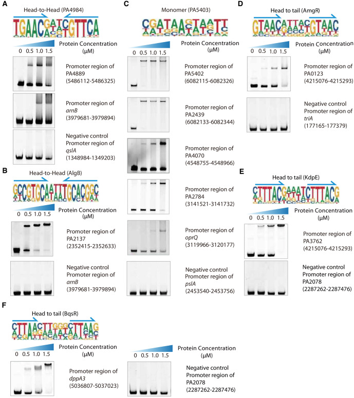 Figure 2—figure supplement 1.