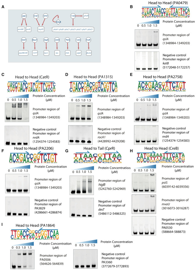 Figure 2—figure supplement 5.