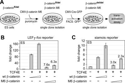 FIG. 8.