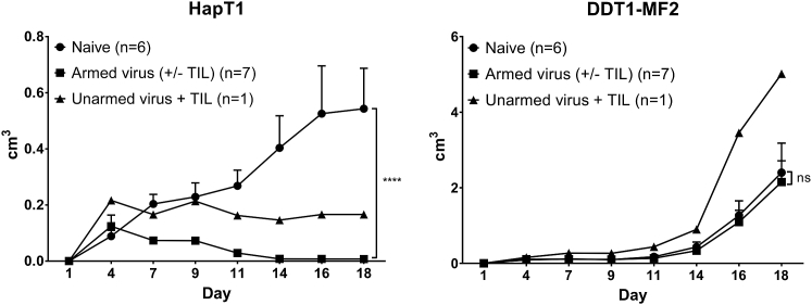 Figure 6