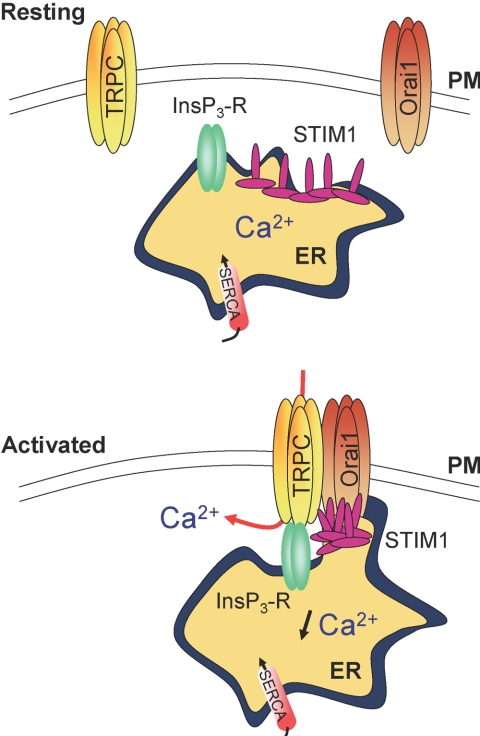 Fig. 2.