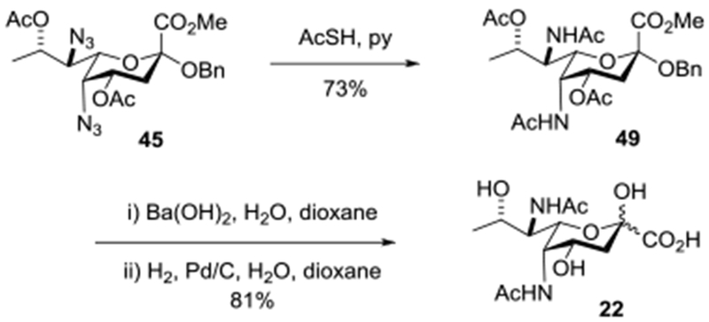 Scheme 5.