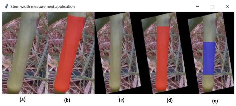 Figure 13