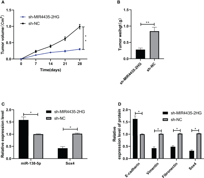 Figure 6