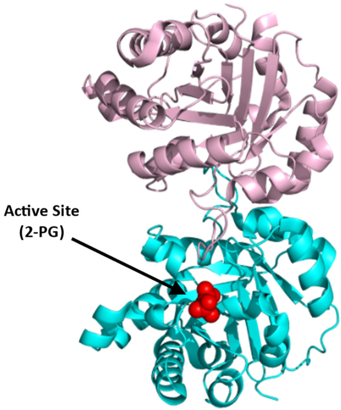 Figure 11