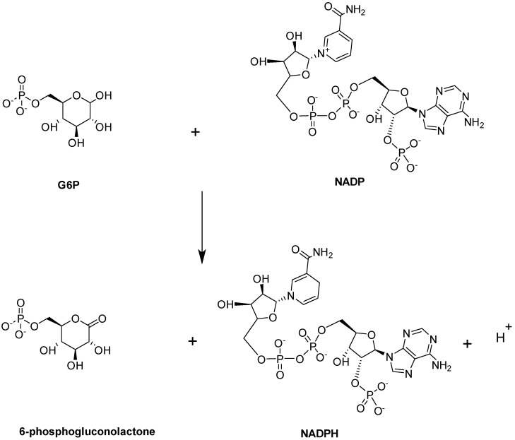 Figure 12