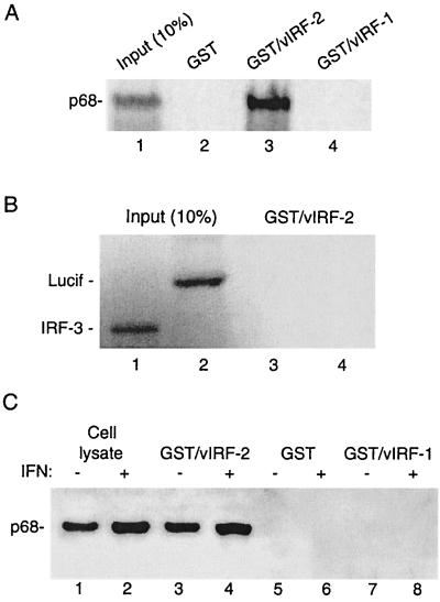 FIG. 5