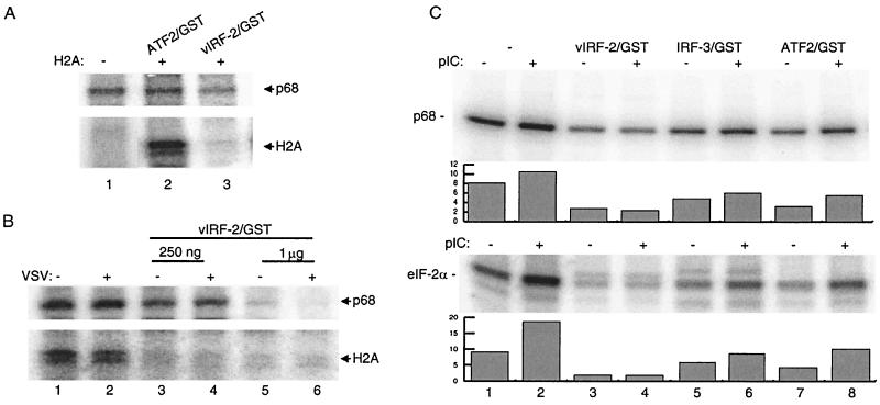 FIG. 6