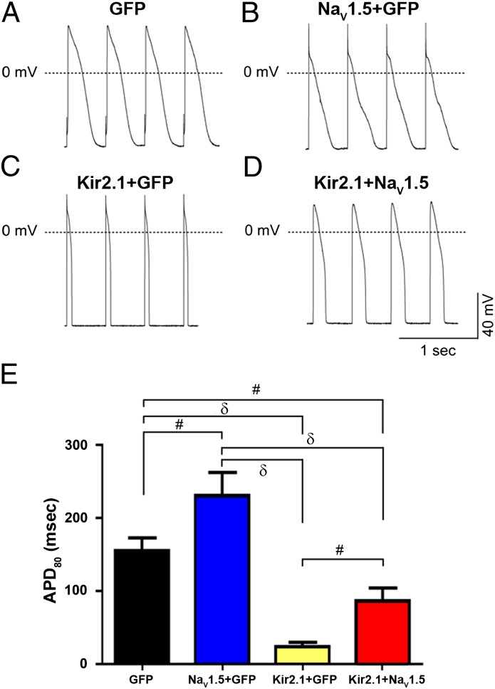 Fig. 9.