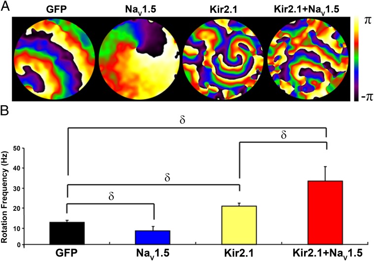 Fig. 10.