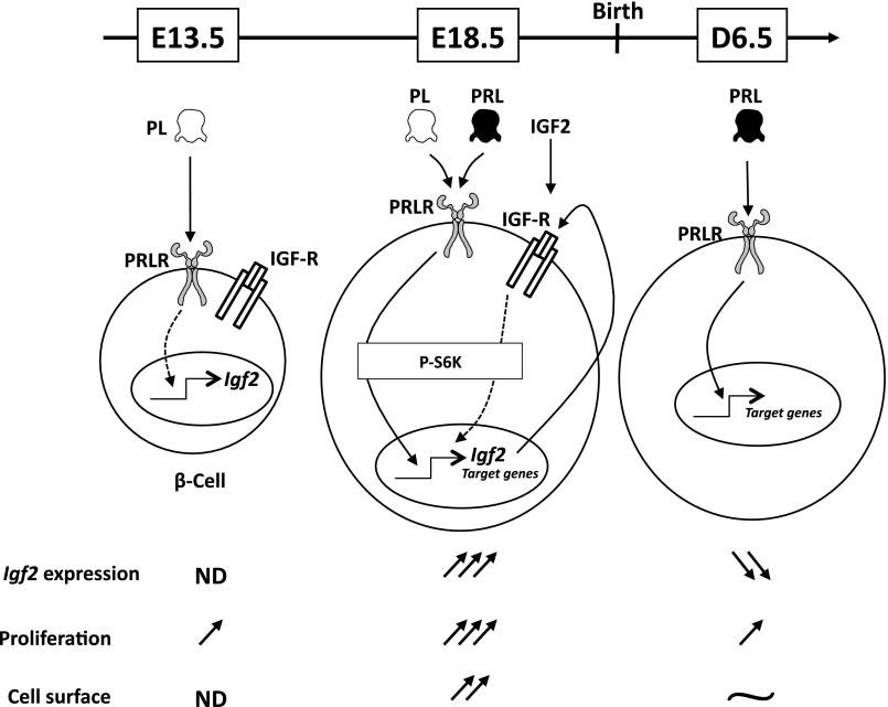 Fig. 8.