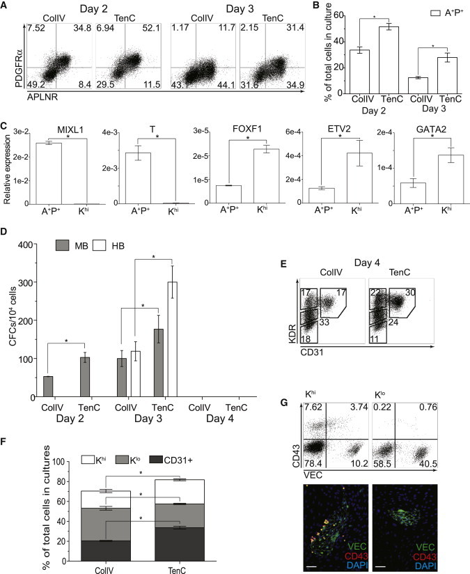 Figure 3