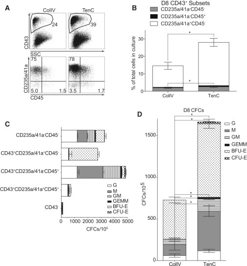 Figure 5